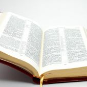 Библия каноническая 045К (золотой обрез, мягкий переплет из искусств. кожи)